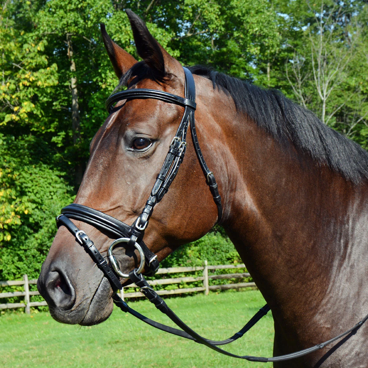 Ovation Dressage Bridle With Comfort Crown 4 Ovation Dressage Bridle With Comfort Crown - Image 2