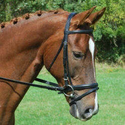 KL Select Red Barn Levade Padded Dressage Bridle