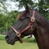 Walsh British Leather Halter -Lemie Horse Care Shop 5146 c1109