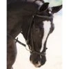 KL Select Drop Noseband -Lemie Horse Care Shop 5222kl c1105