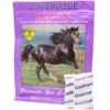 Cox Vet Labs Gastroade EZE Go Pack 40 Day Supply -Lemie Horse Care Shop 5697ez