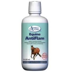 Antiflam 32 Oz