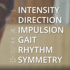 Equestic SaddleClip Equine Motion Sensor Saddle Clip -Lemie Horse Care Shop 5845eq 6