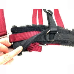 GreenGuard Fleece Converter Set For Standard Halter -Lemie Horse Care Shop 61374 f 3
