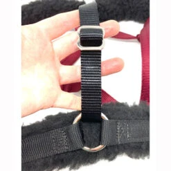 GreenGuard Fleece Converter Set For Standard Halter -Lemie Horse Care Shop 61374 f 4