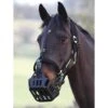 GreenGuard Grazing Muzzle -Lemie Horse Care Shop 61374 c1105