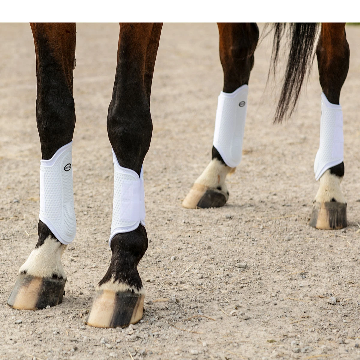 Country Pride Pro Mesh Sport Boots 3 Country Pride Pro Mesh Sport Boots