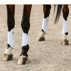 Country Pride Pro Mesh Sport Boots 11 Country Pride Pro Mesh Sport Boots -Lemie Horse Care Shop 63001 c1172 f16ba8cd 73a9 4136 8672 78659faead10