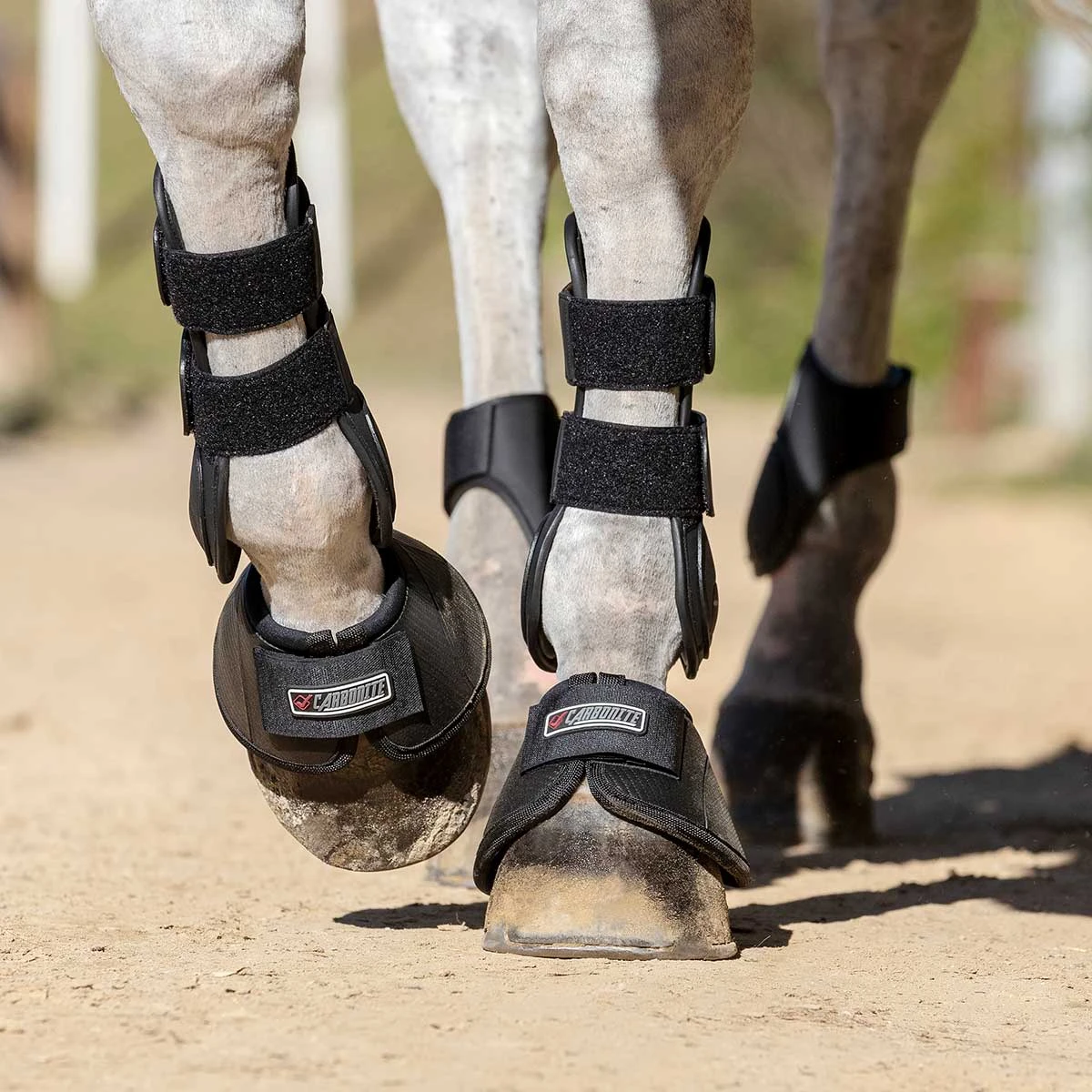 LeMieux Carbonite Overreach Boots 4 LeMieux Carbonite Overreach Boots - Image 2