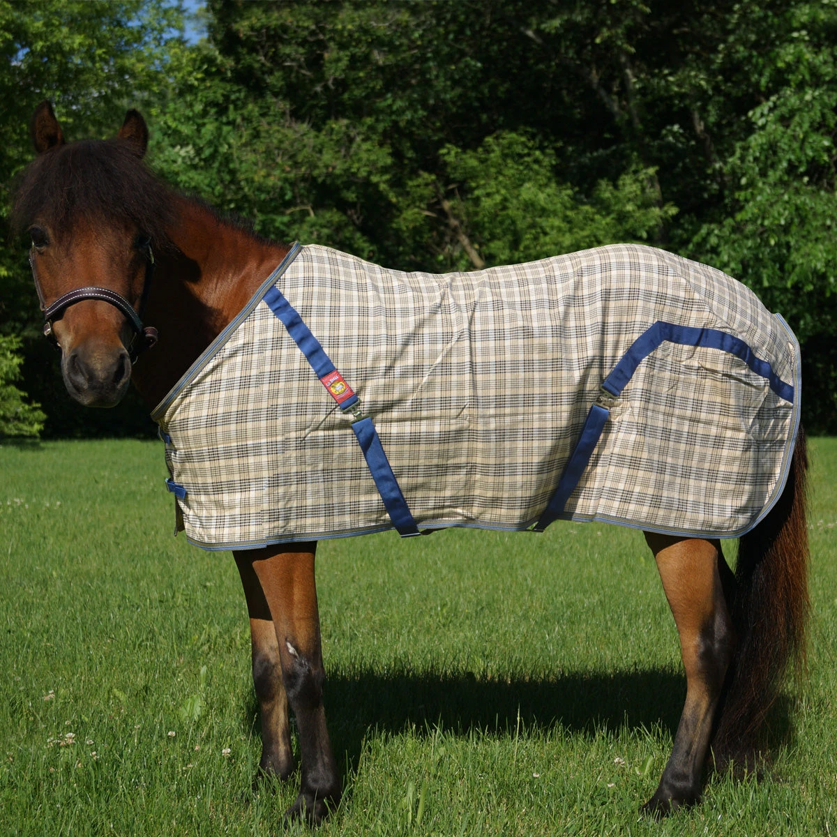 5/A Baker Sheet Miniature Horse Original Plaid 4 5/A Baker Sheet Miniature Horse Original Plaid - Image 2