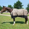5/A Baker Black Label Turnout Sheet 2 5/A Baker Black Label Turnout Sheet -Lemie Horse Care Shop 7025j c1316