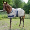 5/A Baker Foal Expand O Blanket -Lemie Horse Care Shop 7053j c1316 d63731c4 f1f2 47cf 9f4c aadfb3906233
