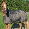 Country Pride 420D Fleece Lined Closed Front Nylon Sheet 1 Country Pride 420D Fleece Lined Closed Front Nylon Sheet -Lemie Horse Care Shop 72 8181 c1125