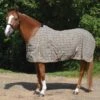 Classic Traditional Plaid Stable Sheet -Lemie Horse Care Shop 7306 c1316