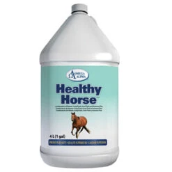 Omega Alpha Healthy Horse 4 In 1 Solution Gallon