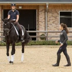 CEECOACH 2 Duo Rider/Trainer Bluetooth Headset -Lemie Horse Care Shop 7703cee d c1170 alt2