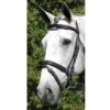Vespucci Double Raised Dressage Snaffle Bridle 1 Vespucci Double Raised Dressage Snaffle Bridle -Lemie Horse Care Shop 810420 c1105