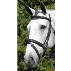 Vespucci Double Raised Dressage Snaffle Bridle -Lemie Horse Care Shop 810420 c1105 076e0de1 4376 4c7d b93f 9b092501a3d2