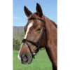 Vespucci Plain Raised English Bridle Brown -Lemie Horse Care Shop 810455 c1109