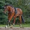 Waldhausen Waldausen Lunging System -Lemie Horse Care Shop 81047w