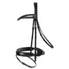 Passier Fortuna Dressage Bridle Horse Size -Lemie Horse Care Shop 850020 c1105 alt1