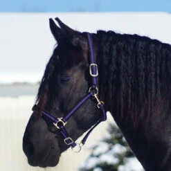 Country Pride Padded Two Tone Nylon Halter -Lemie Horse Care Shop 858735 c1157