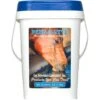 Cox Vet Labs Perk-A-Lyte Electrolyte - 5 Lb 2 Cox Vet Labs Perk-A-Lyte Electrolyte - 5 Lb -Lemie Horse Care Shop 8678