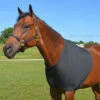Country Pride Lycra Chest Guard -Lemie Horse Care Shop 8992z c1105