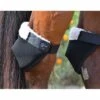Click Horse Hock Shield -Lemie Horse Care Shop 95061 1