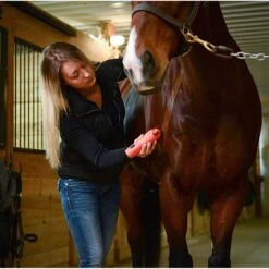 Wahl KM Cordless 2 Speed Clipper Kit -Lemie Horse Care Shop 9596 100 c1156 alt3