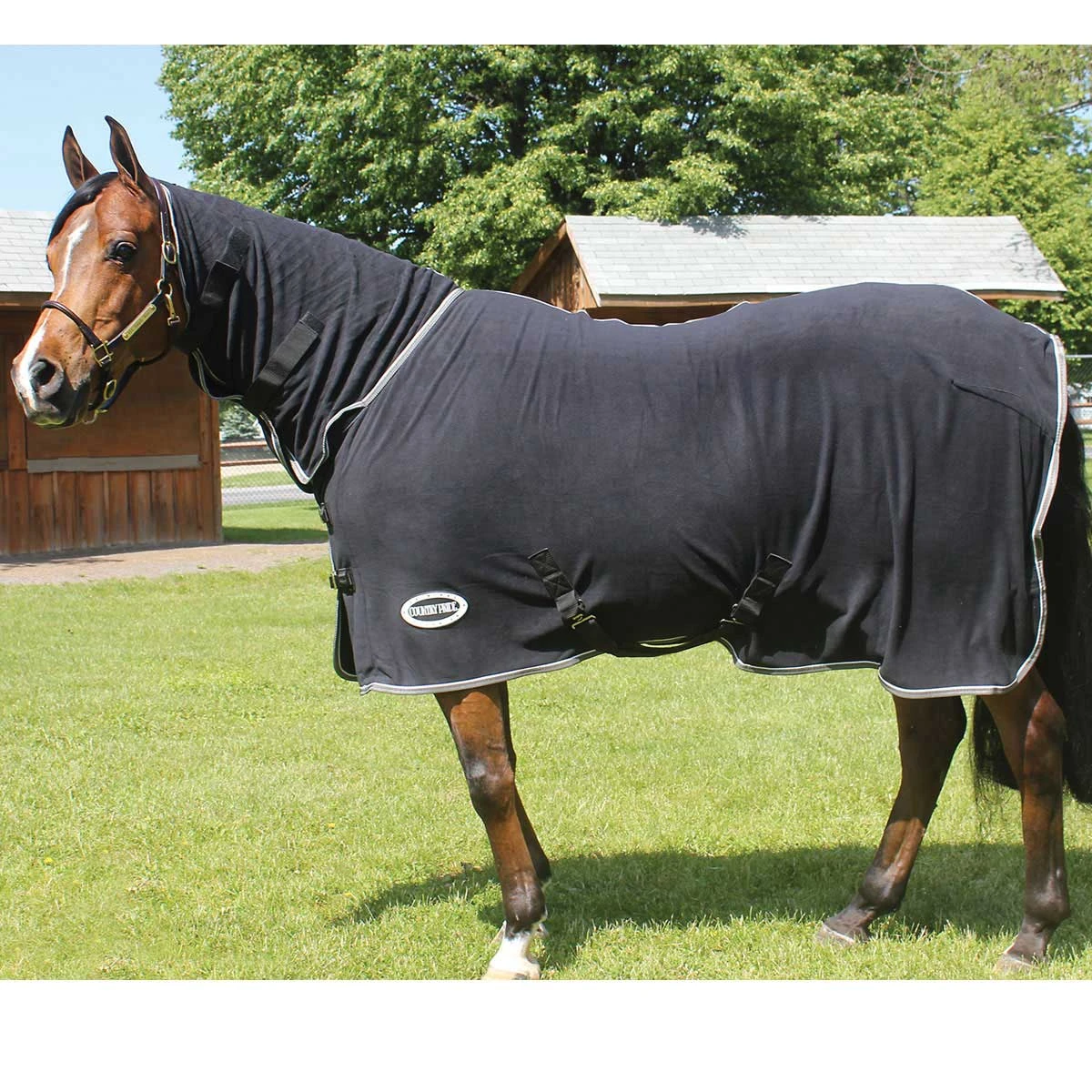 Country Pride High Neck Tapered Micro Fleece Cooler 4 Country Pride High Neck Tapered Micro Fleece Cooler - Image 2