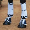 Professionals Choice Magnetic Bell Boots -Lemie Horse Care Shop PCMBB
