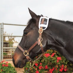 Professionals Choice Magnetic Poll Piece