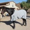 Professional's Choice Theramic Sheet -Lemie Horse Care Shop PCTS c1125