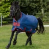 Horseware Ireland Horseware Amigo Mio 200g Medium Turnout 2 Horseware Ireland Horseware Amigo Mio 200g Medium Turnout -Lemie Horse Care Shop aasa42 c1146