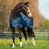 Horseware Ireland Horseware Blanket Liner 200g 2 Horseware Ireland Horseware Blanket Liner 200g -Lemie Horse Care Shop abad61 c1146 fd1ad9a4 b944 4e93 a198 e094886c41e1