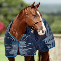 Horseware Ireland Horseware Blanket Liner 200g -Lemie Horse Care Shop abad62 c1146 alt2