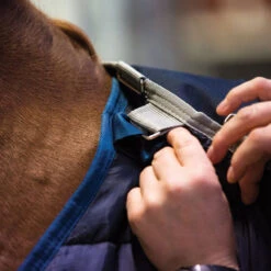 Horseware Ireland Horseware Blanket Liner 200g -Lemie Horse Care Shop abad62 c1146 alt4