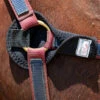 Best Friend Cheek Saver Halter Attachment -Lemie Horse Care Shop bf028bk 1