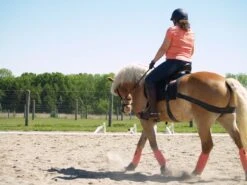 Equicore Complete Equiband Pro System -Lemie Horse Care Shop eccP1015565 1