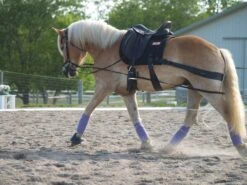 Equicore Complete Equiband Pro System -Lemie Horse Care Shop eccP1015992 1