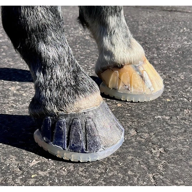 EasyShoe Versa Grip Octo Shoe - Hind Pair 4 EasyShoe Versa Grip Octo Shoe - Hind Pair - Image 2