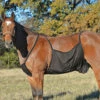 Cashel Fly Sheet Belly Guard -Lemie Horse Care Shop fsbg