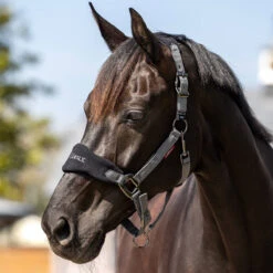 LeMieux Vogue Halter And Leadrope Set 9 LeMieux Vogue Halter And Leadrope Set -Lemie Horse Care Shop it0082 c1105 alt1