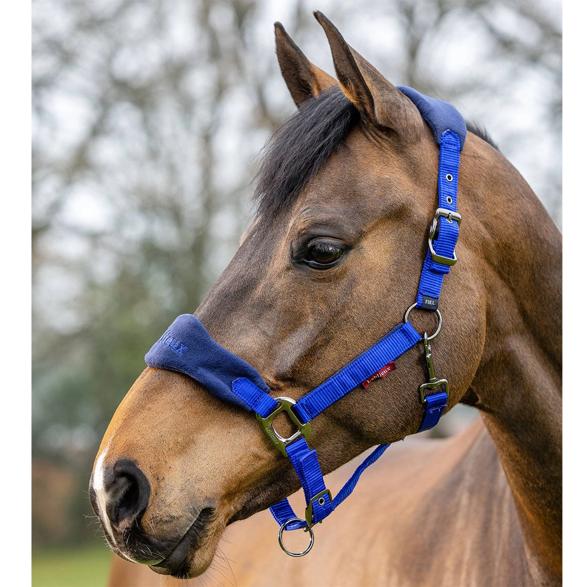 LeMieux Vogue Halter And Leadrope Set 6 LeMieux Vogue Halter And Leadrope Set - Image 4