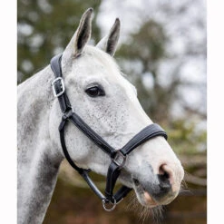 LeMieux Stitched Anatomical Leather Halter -Lemie Horse Care Shop it00882 c1105 alt3