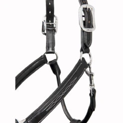 LeMieux Stitched Anatomical Leather Halter -Lemie Horse Care Shop it00882 c1105 alt4
