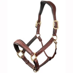 LeMieux Stitched Anatomical Leather Halter -Lemie Horse Care Shop it00882 c1109 alt1