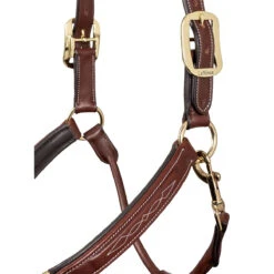 LeMieux Stitched Anatomical Leather Halter -Lemie Horse Care Shop it00882 c1109 alt4