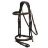 LeMieux Padded Anatomic Work Bridle 2 LeMieux Padded Anatomic Work Bridle -Lemie Horse Care Shop it02638 c1109